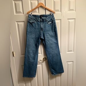 Judy Blue Straight Jeans size 14W